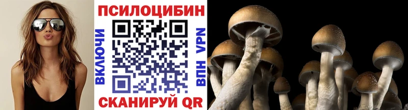 Галлюциногенные грибы Psilocybine cubensis  Краснодар 